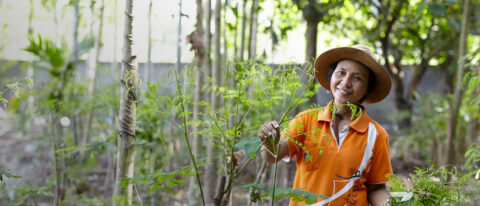Khun Orachan in Thailand